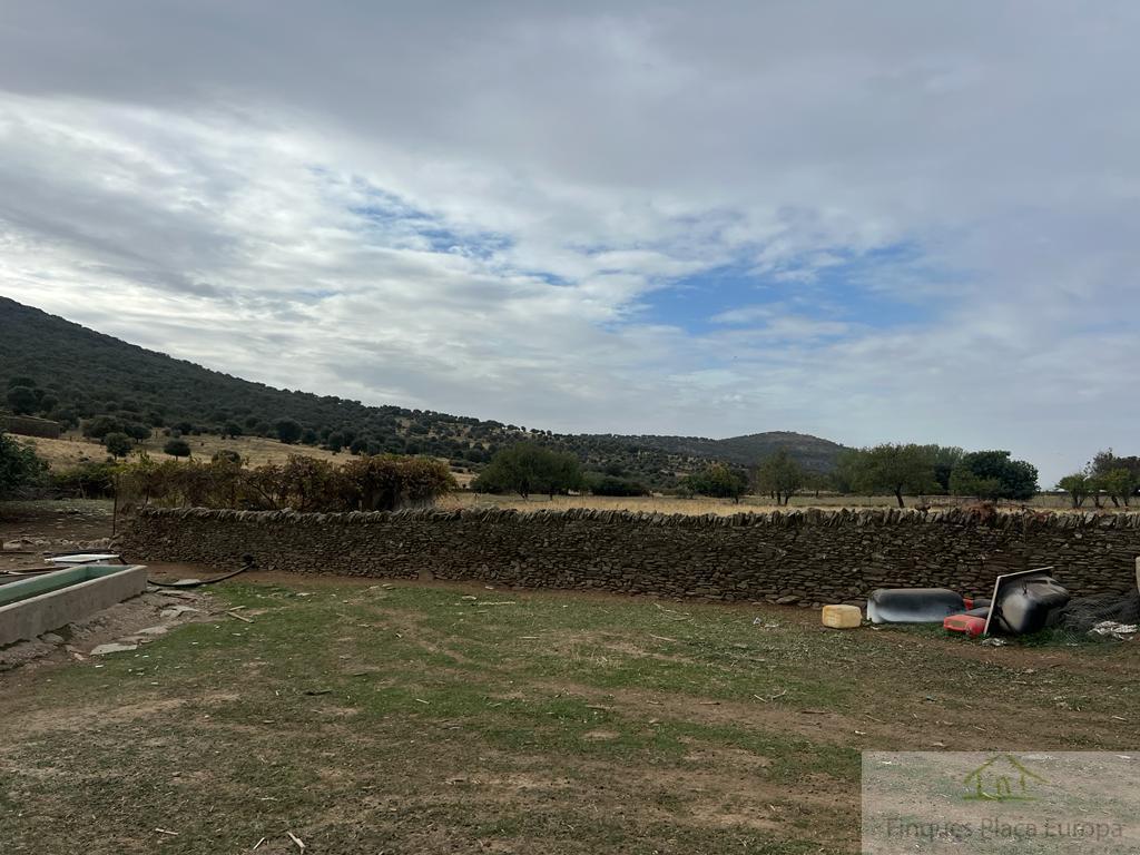 Venda de finca rústica a Madroñera