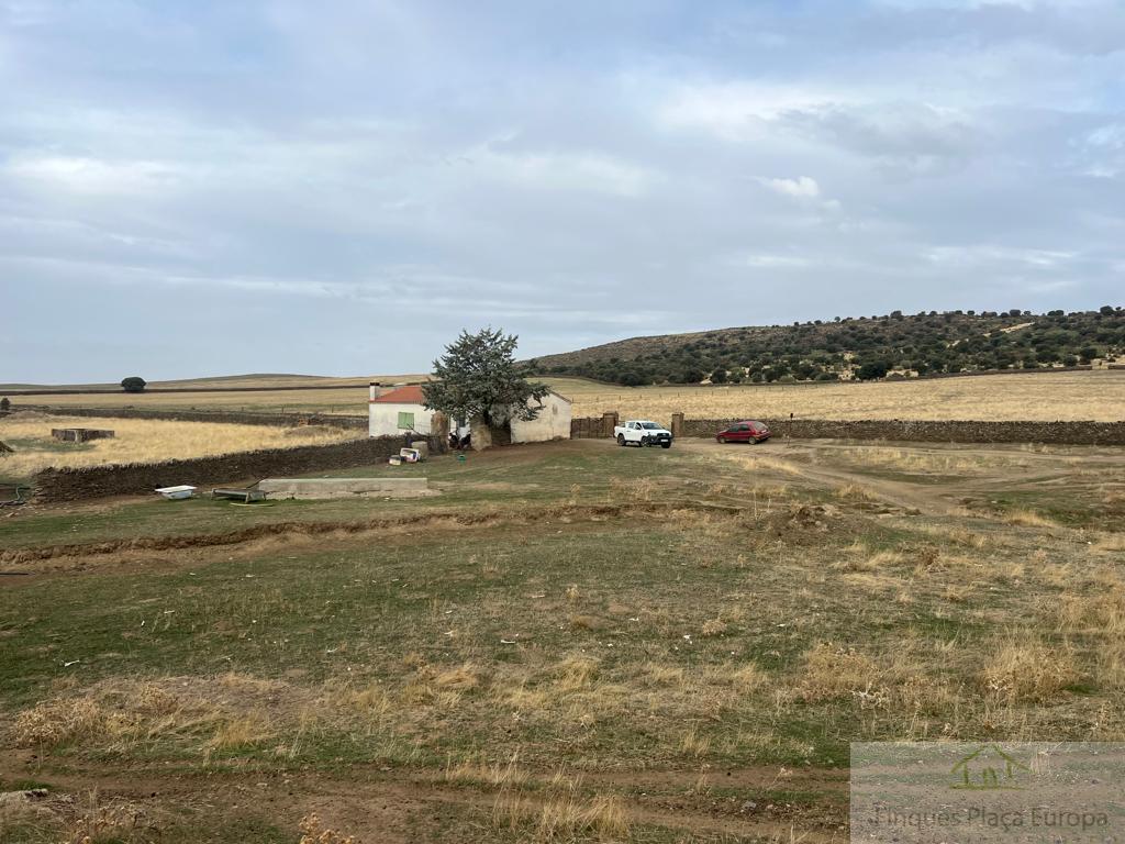 Venda de finca rústica a Madroñera