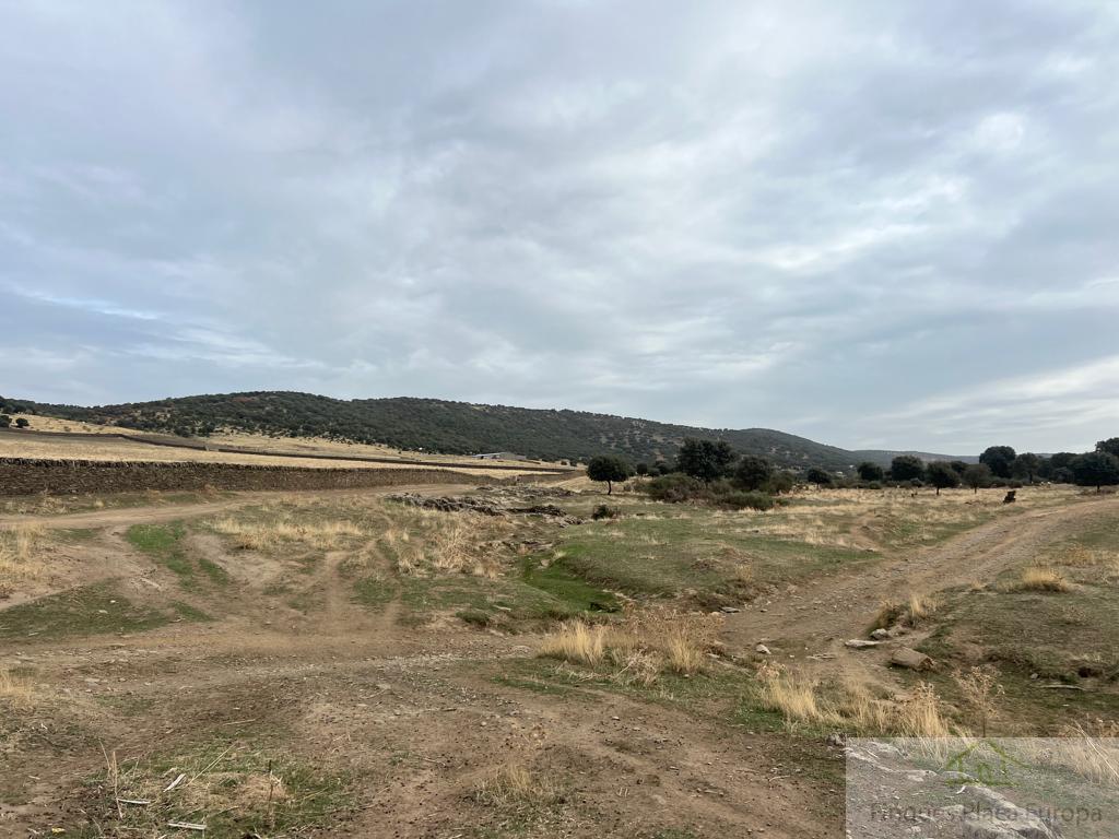 Venda de finca rústica a Madroñera