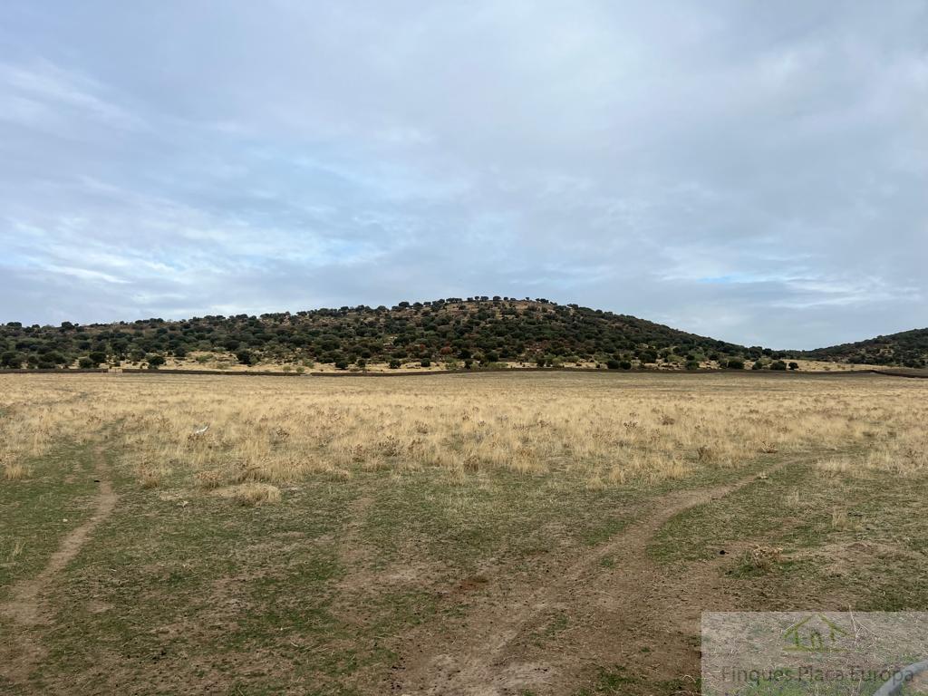 Venda de finca rústica a Madroñera