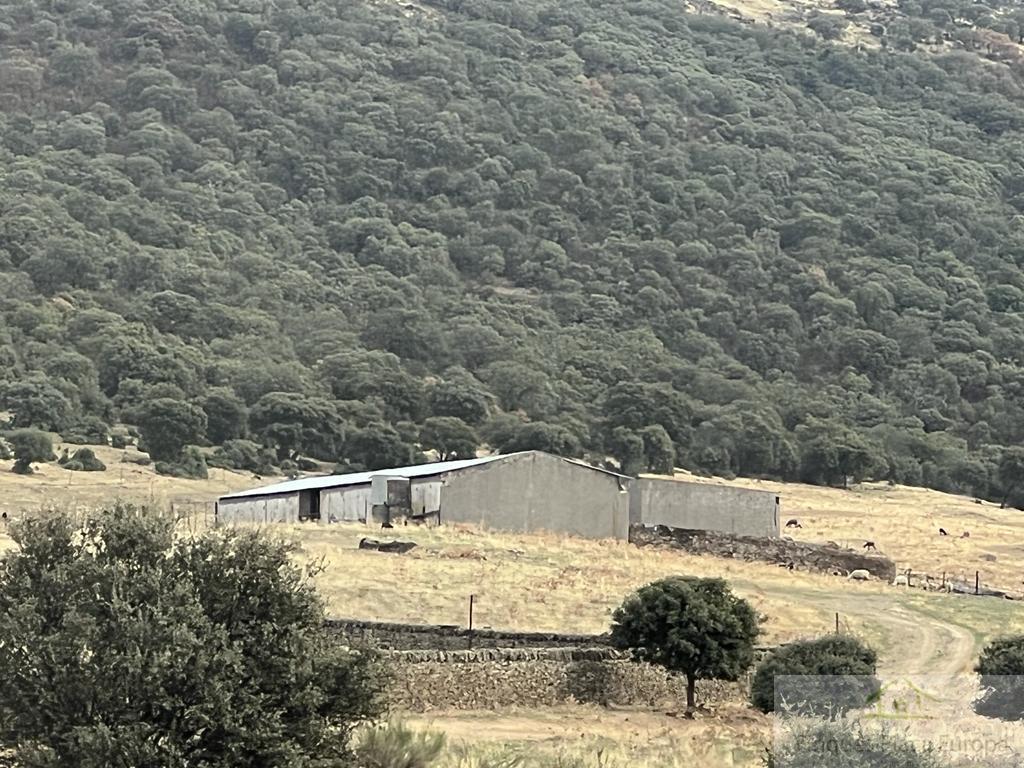 Venda de finca rústica a Madroñera