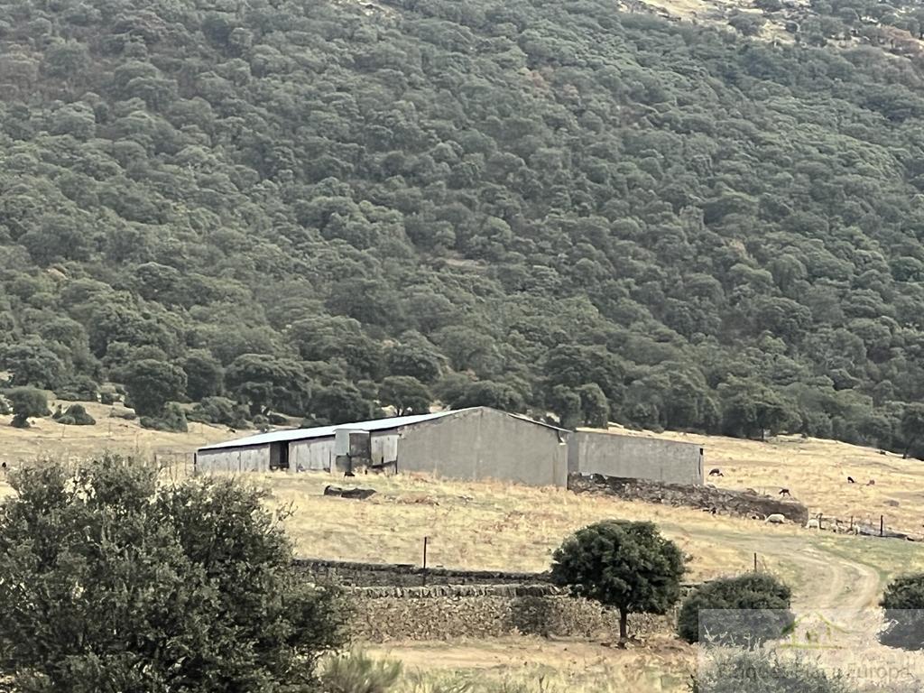 Vente de propriété rurale dans Madroñera