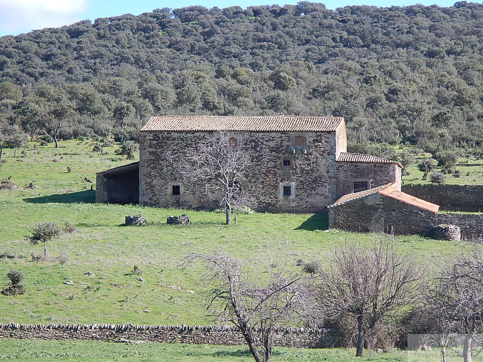 Venda de finca rústica a Madroñera