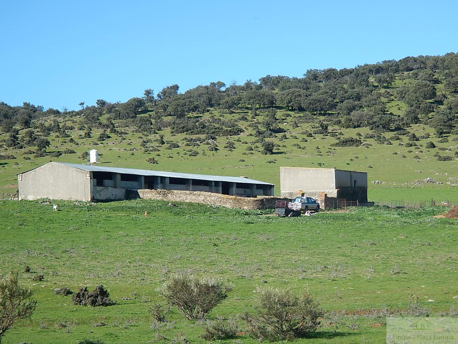 Venda de finca rústica a Madroñera
