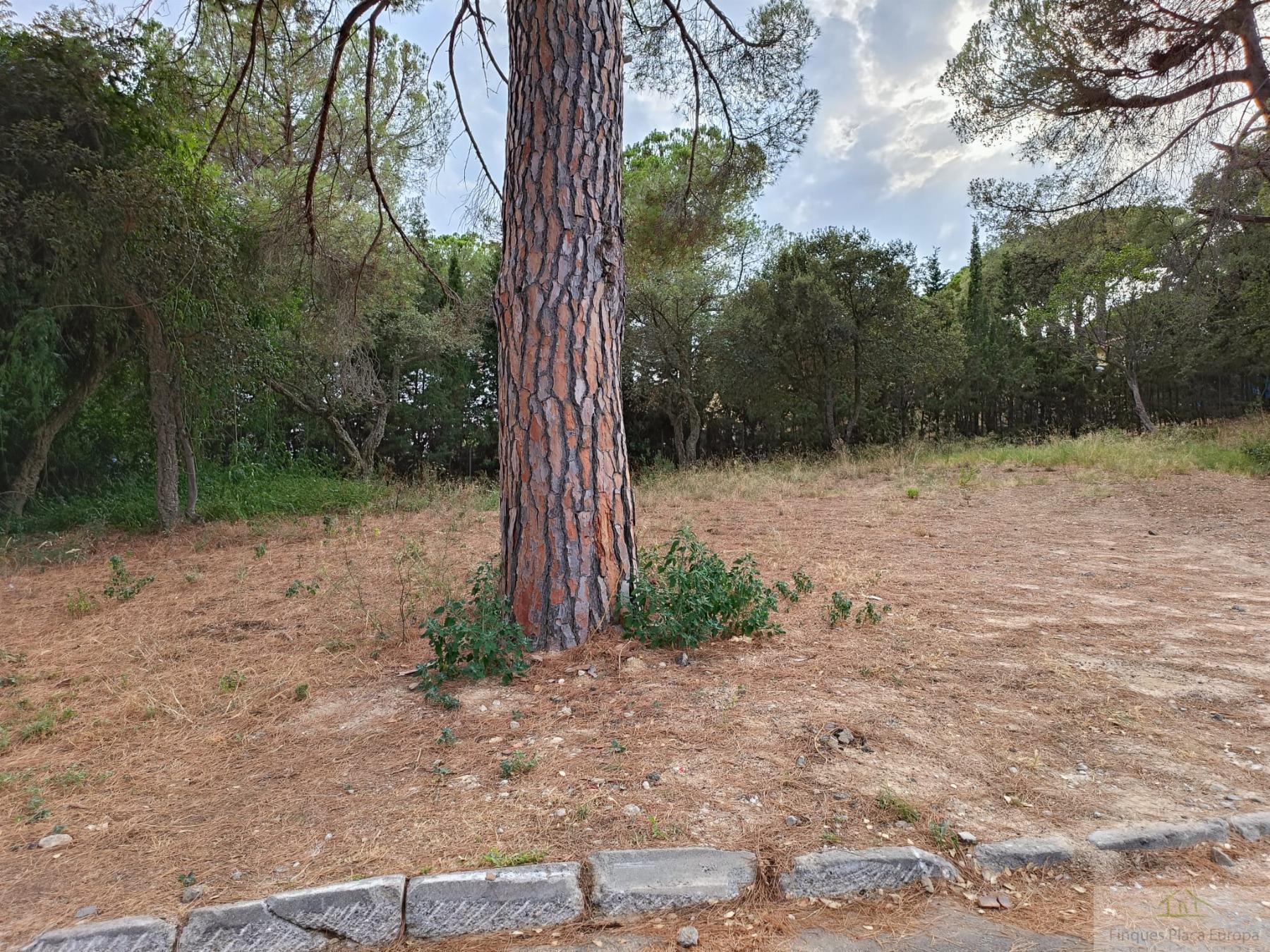 Venda de terreny a Santa Cristina D´aro