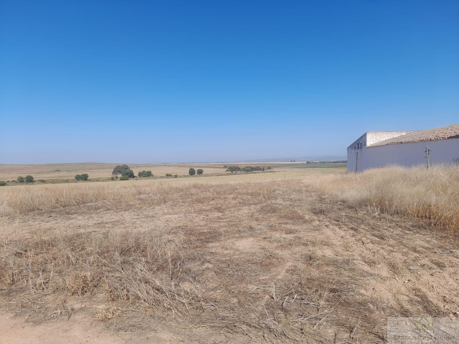 Vente de propriété rurale dans Badajoz