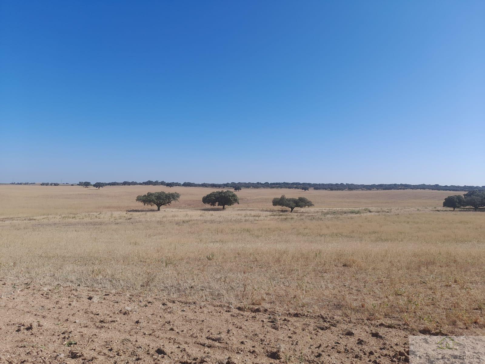 Vente de propriété rurale dans Badajoz
