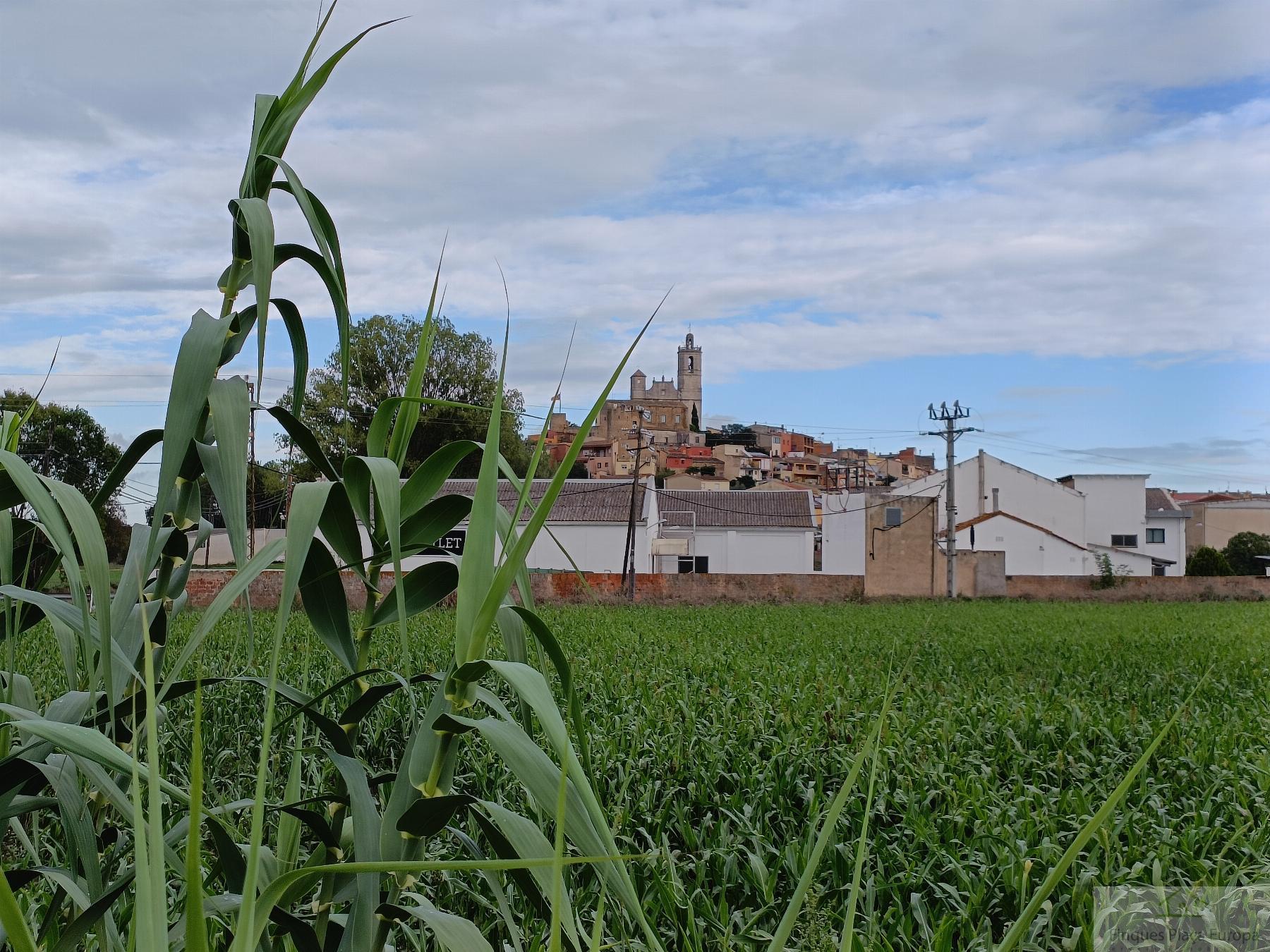 Vente de maison dans Llagostera