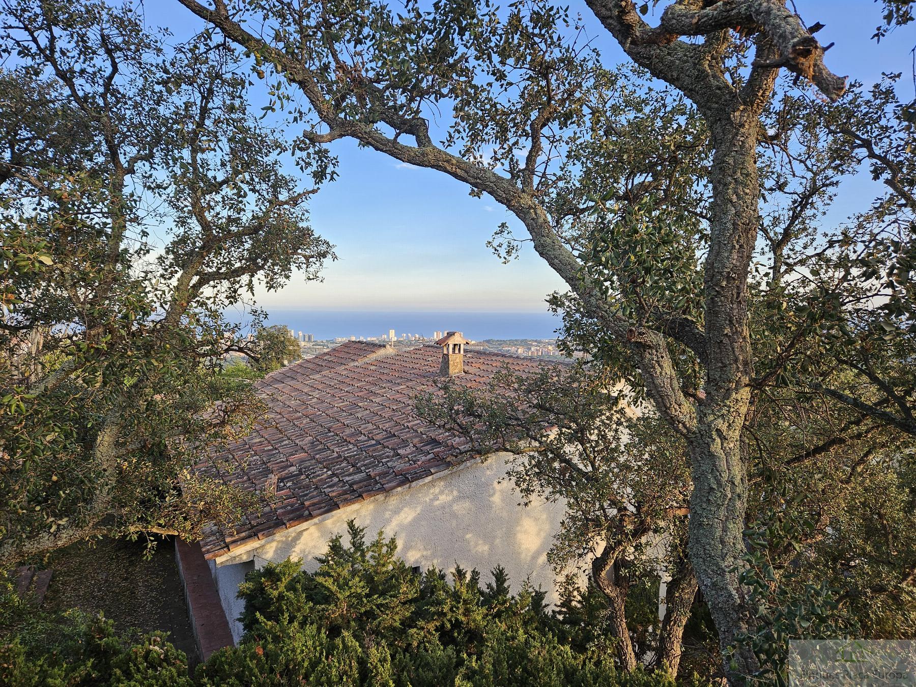 Vente de maison dans Castell d´Aro