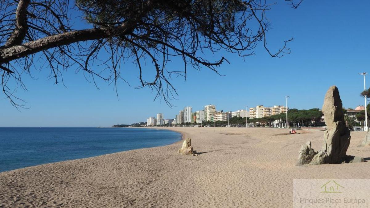 For sale of study in Platja d´Aro