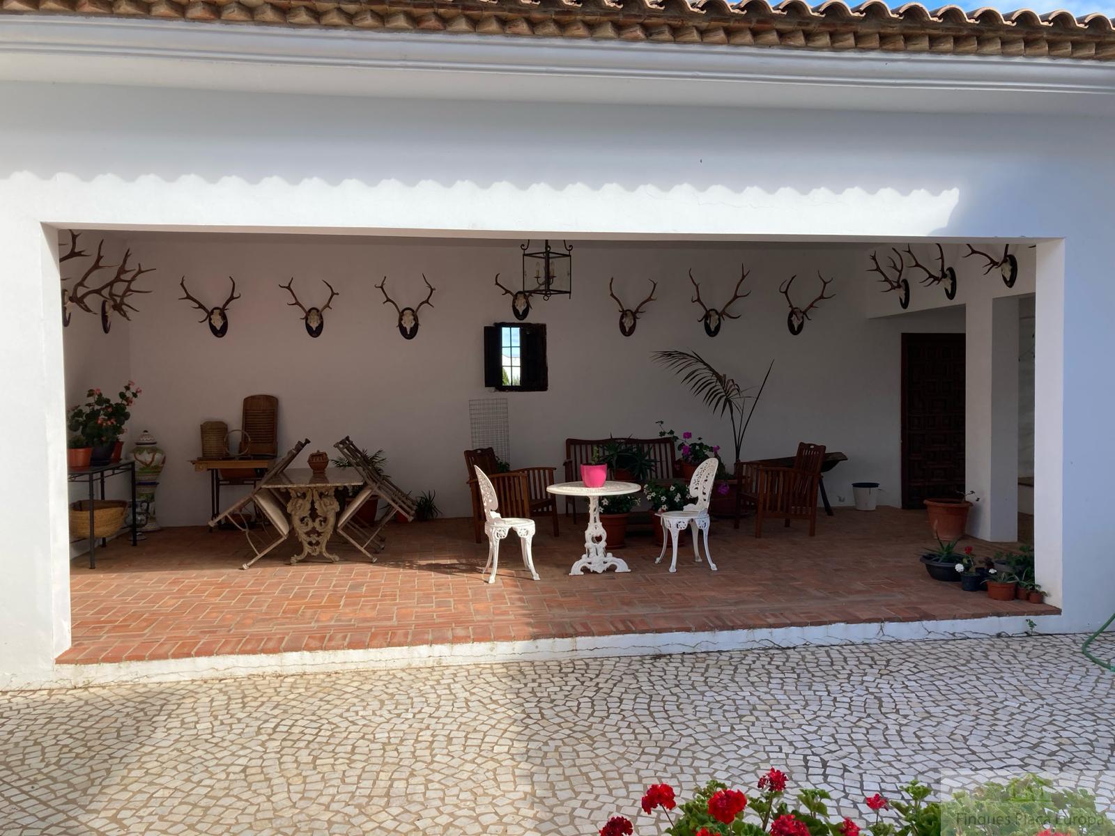 For sale of land in Navalvillar de Ibor