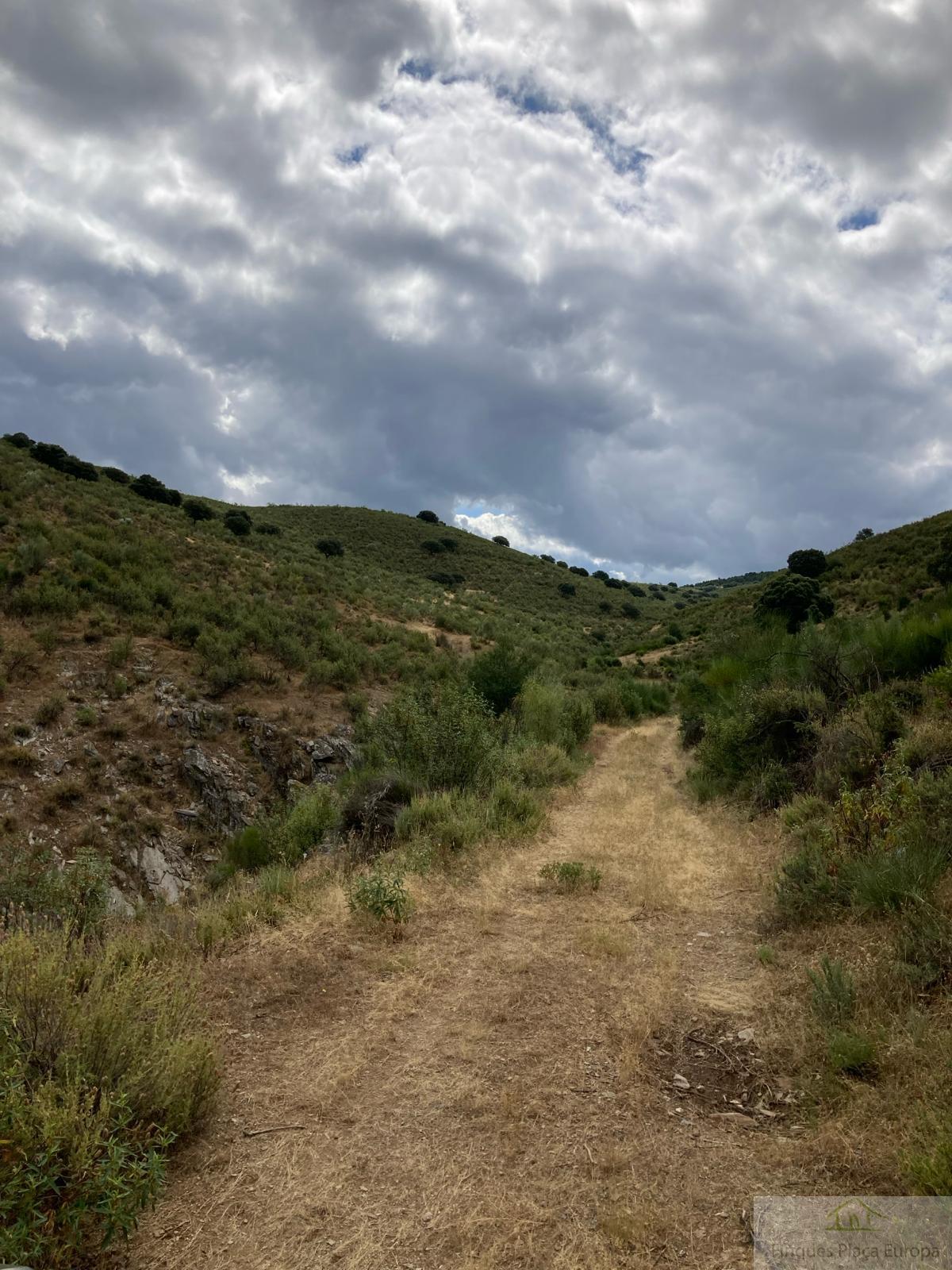 For sale of land in Navalvillar de Ibor