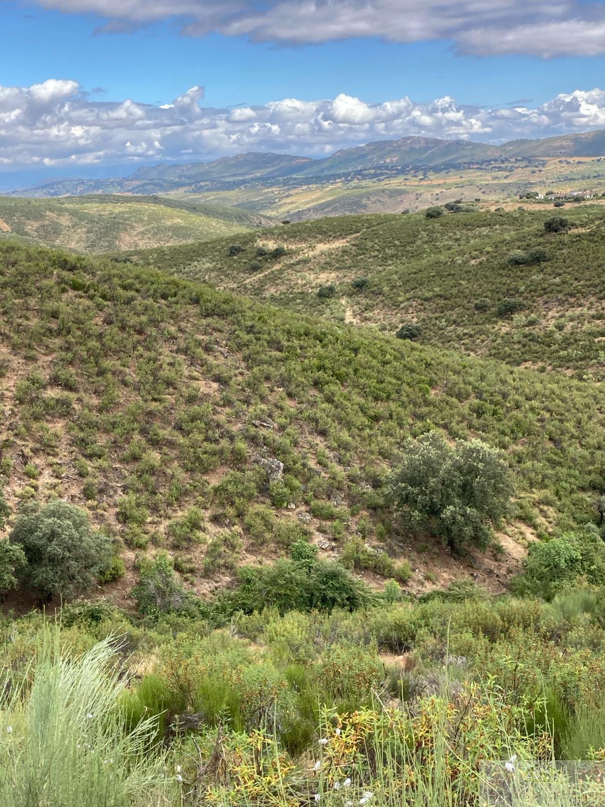For sale of land in Navalvillar de Ibor