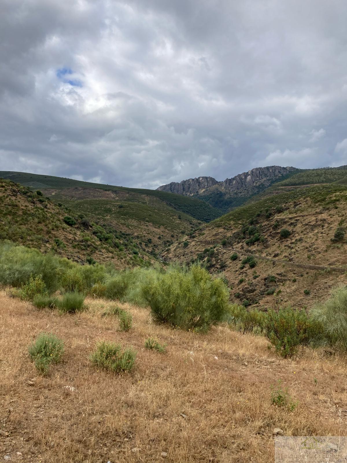 For sale of land in Navalvillar de Ibor