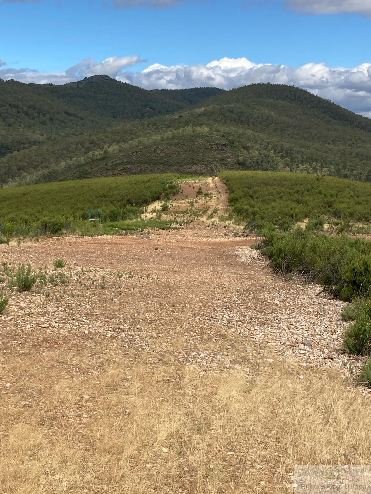 For sale of land in Navalvillar de Ibor