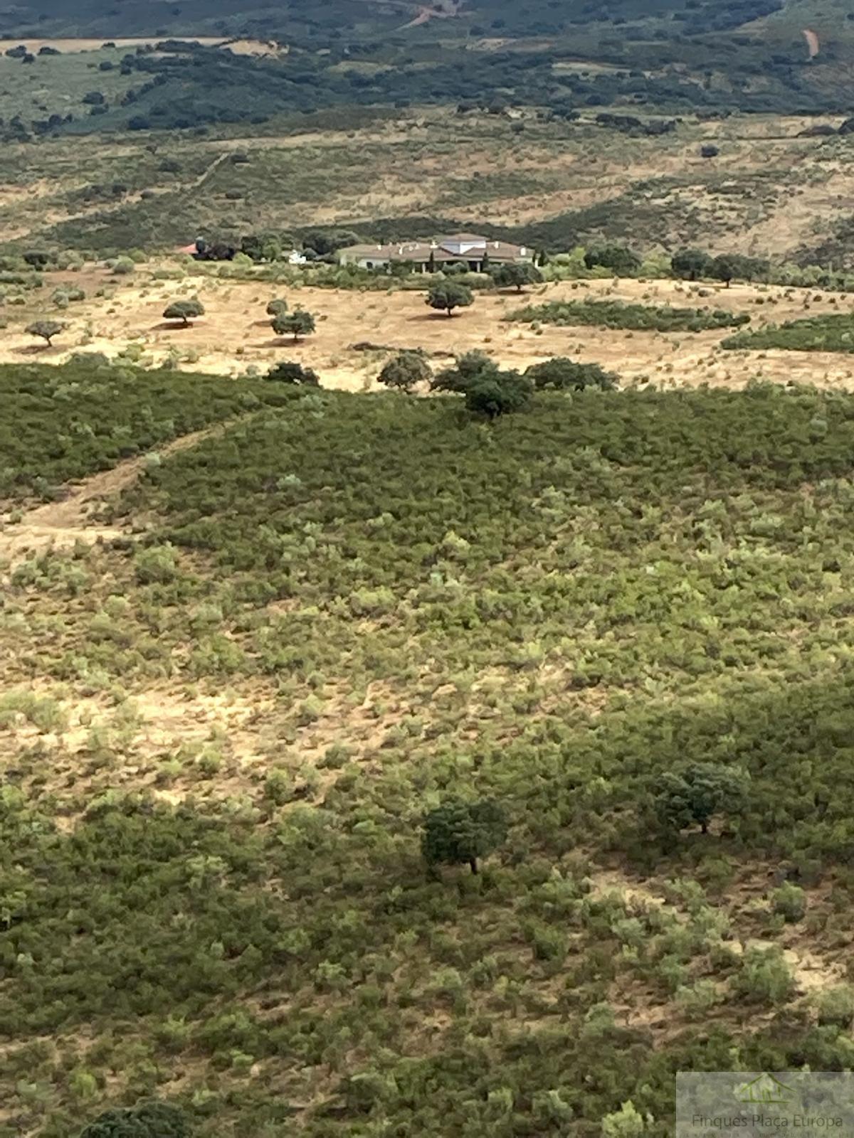 For sale of land in Navalvillar de Ibor