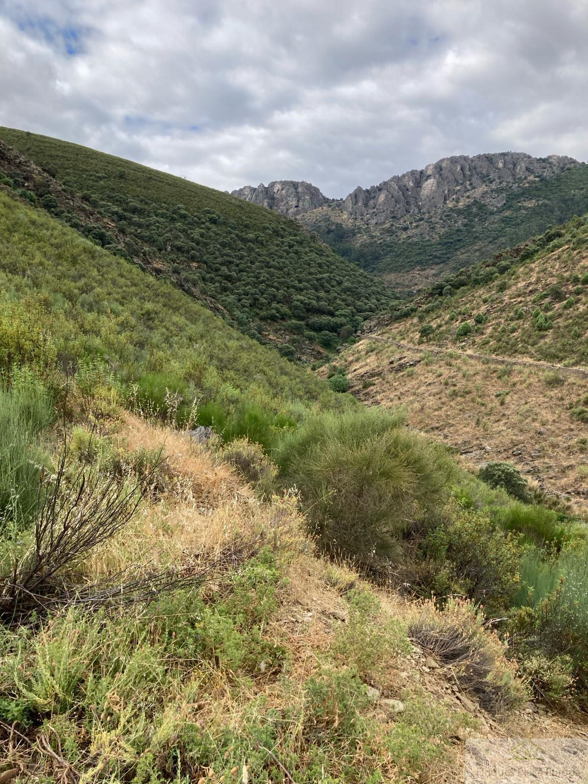 For sale of land in Navalvillar de Ibor