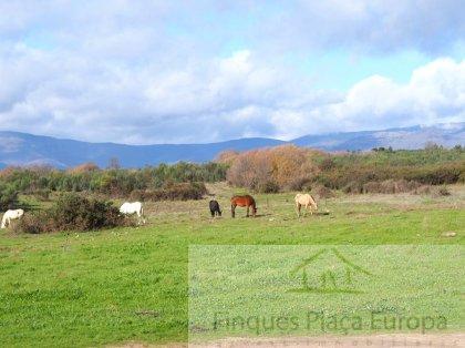 Venda de terreny a Navalmoral de la Mata