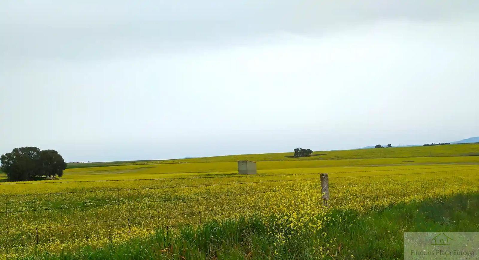 Venta de terreno en Cáceres