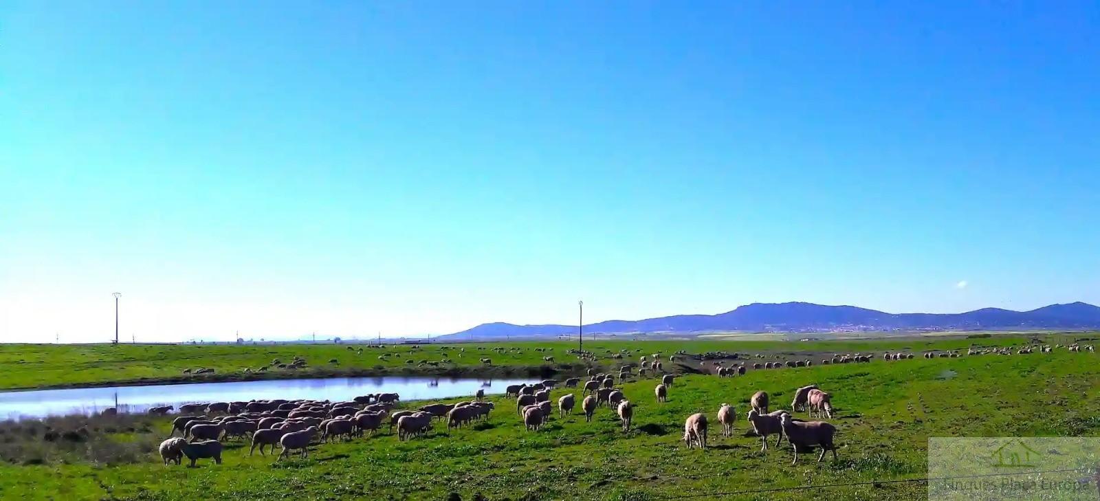 Venta de terreno en Cáceres