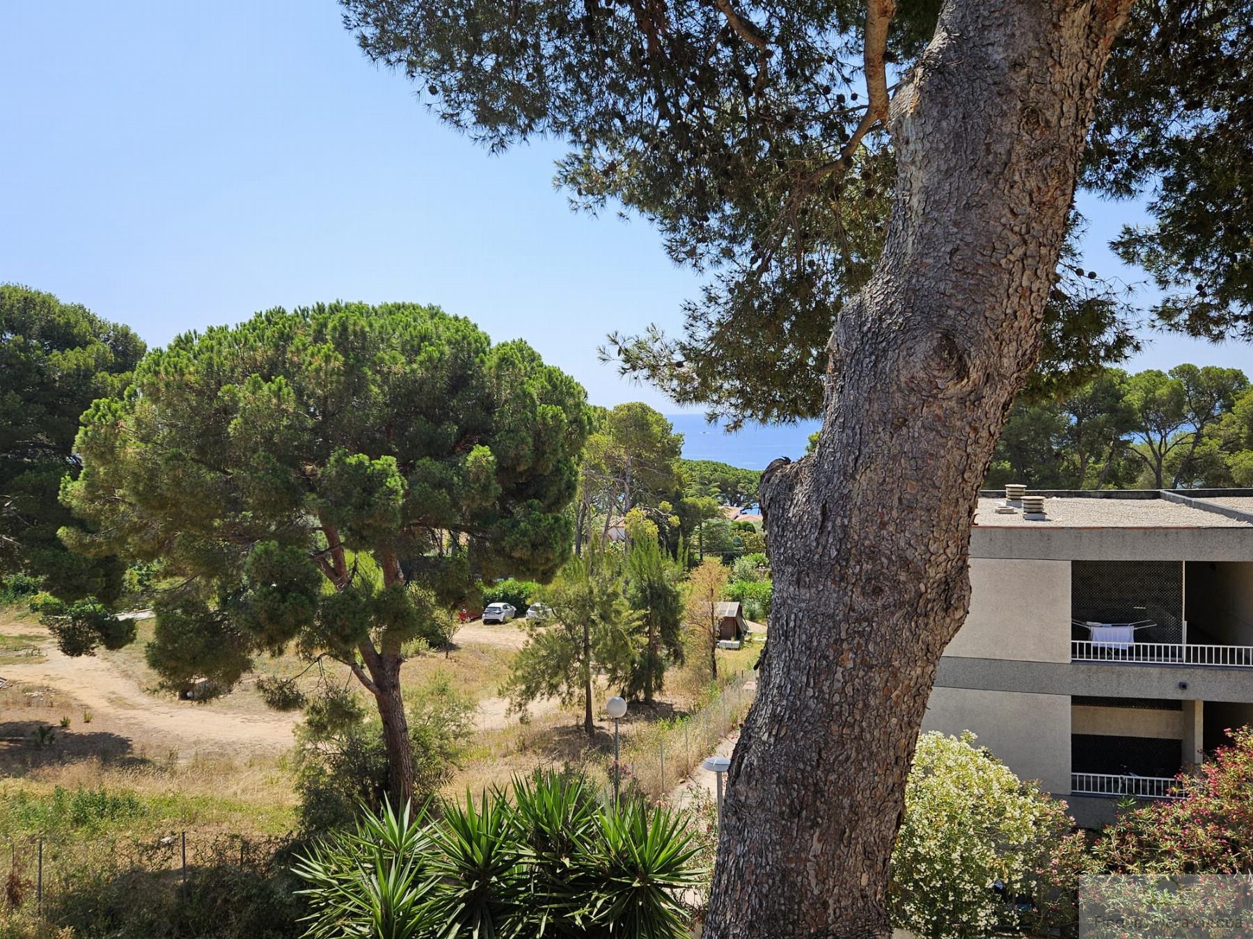 Venta de apartamento en Platja d´Aro