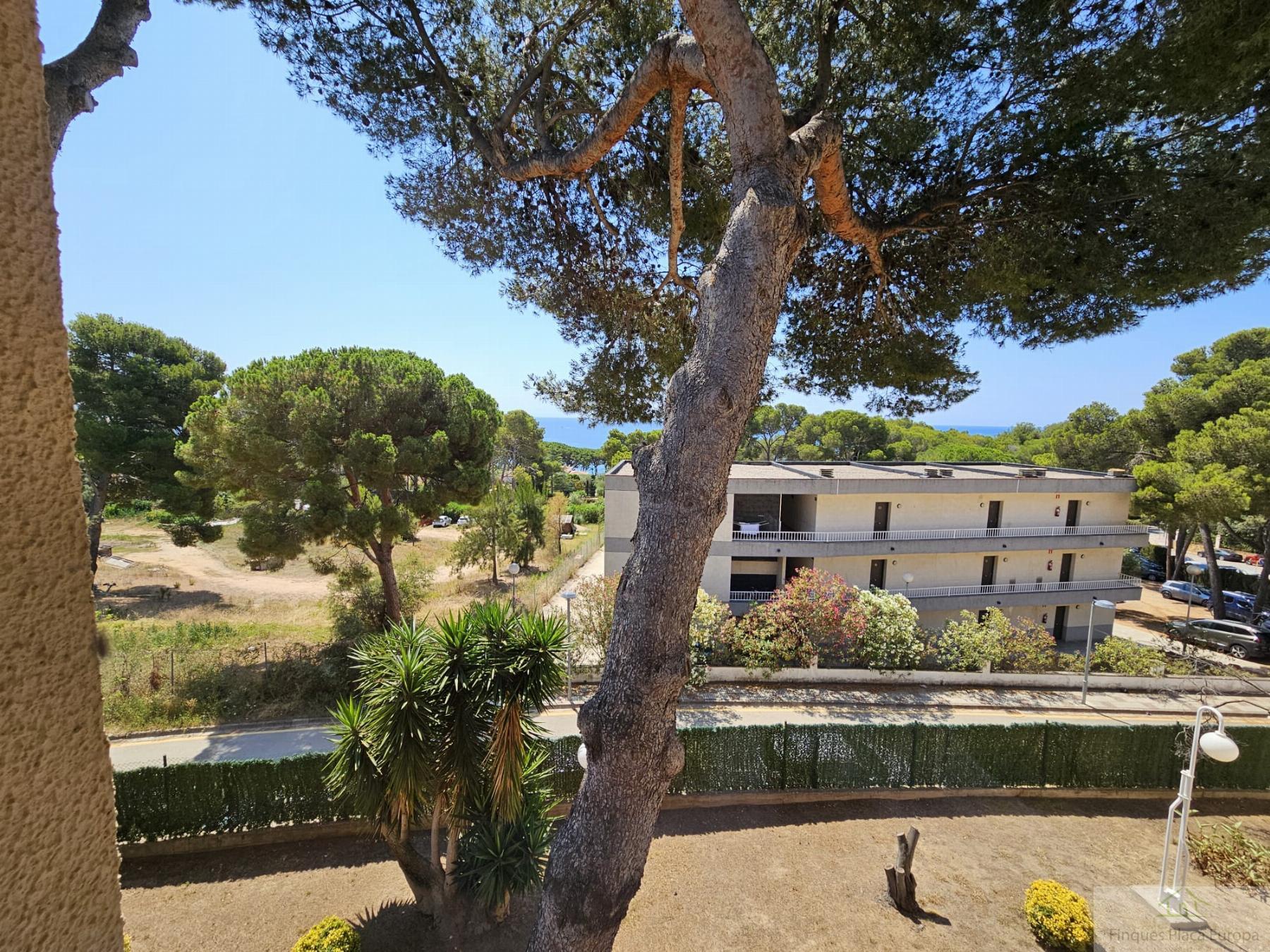 Venta de apartamento en Platja d´Aro