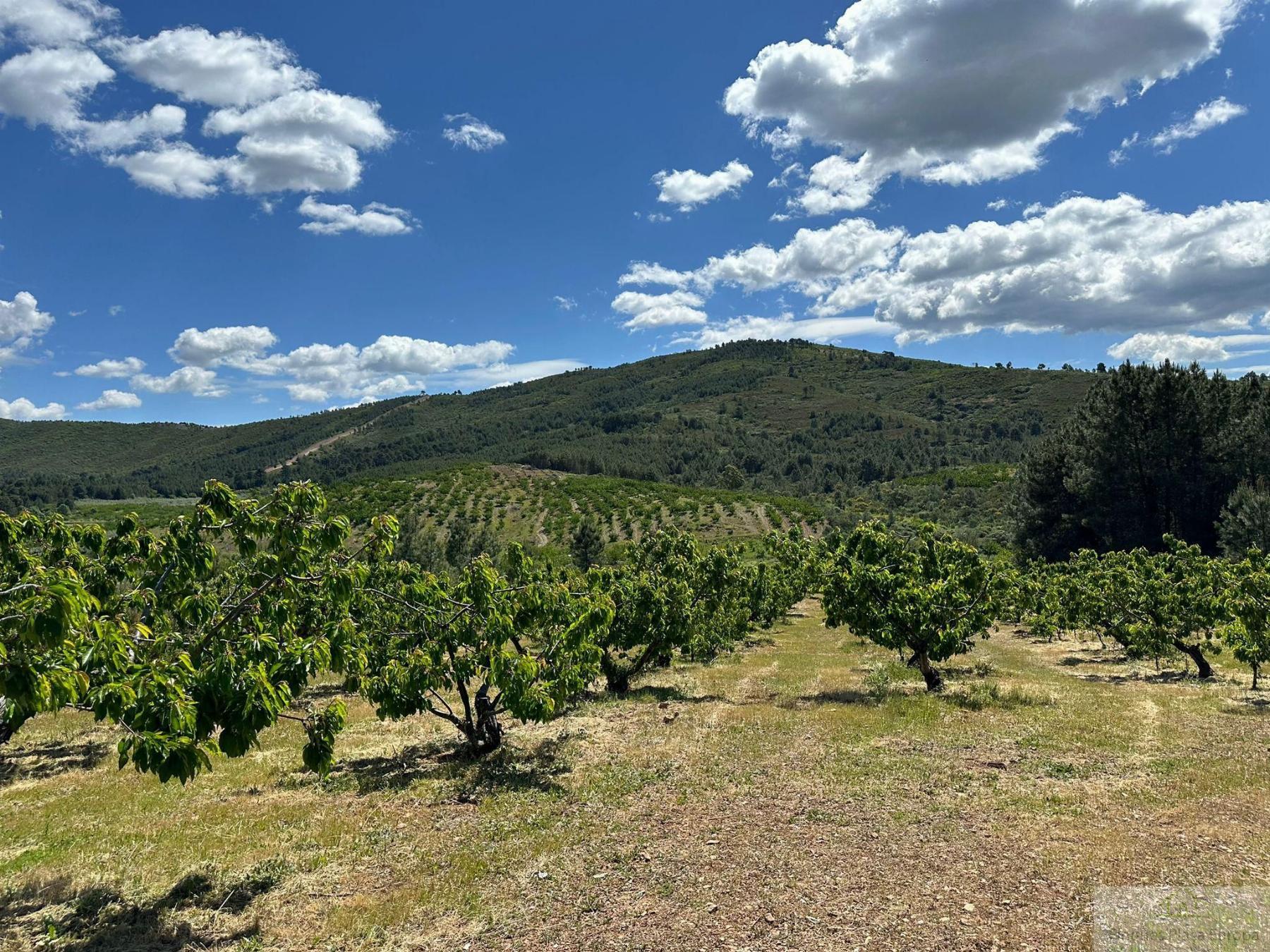 Venda de terreny a Navalmoral de la Mata