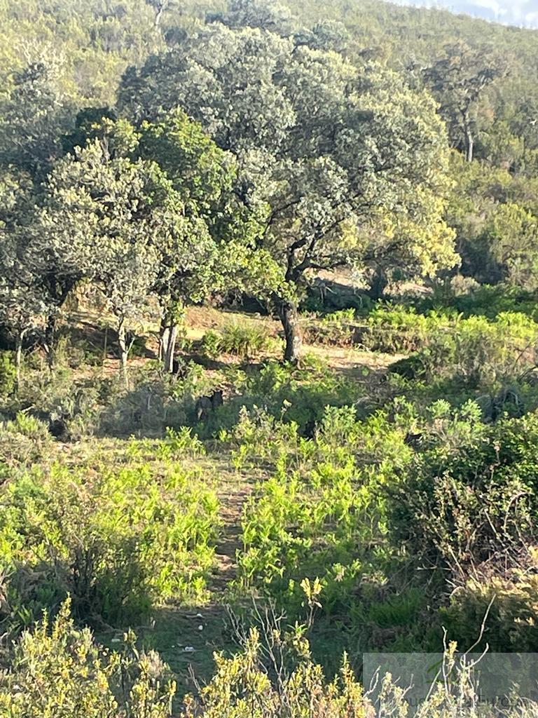 Venda de terreny a Navalmoral de la Mata