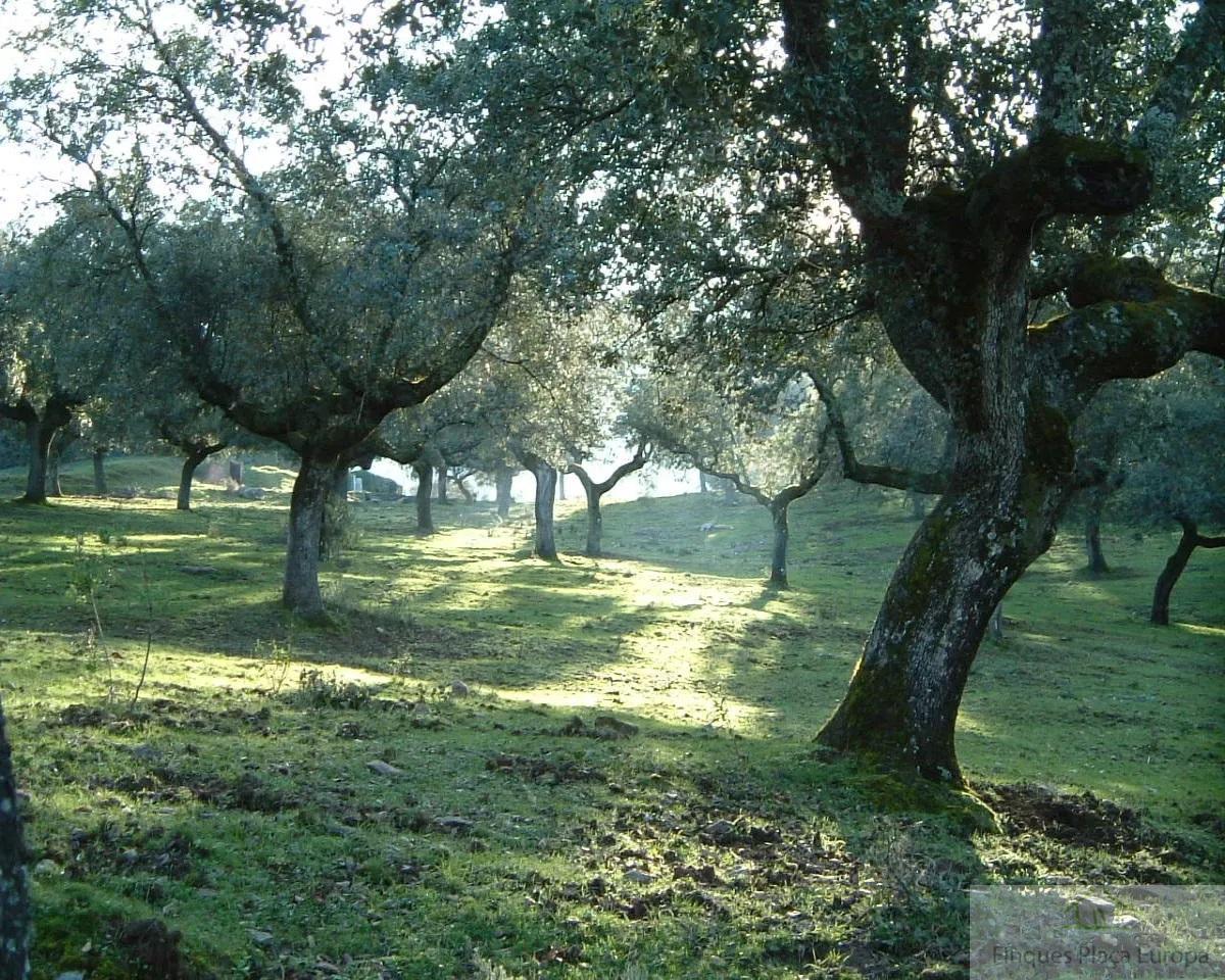 Venda de terreny a Navalmoral de la Mata