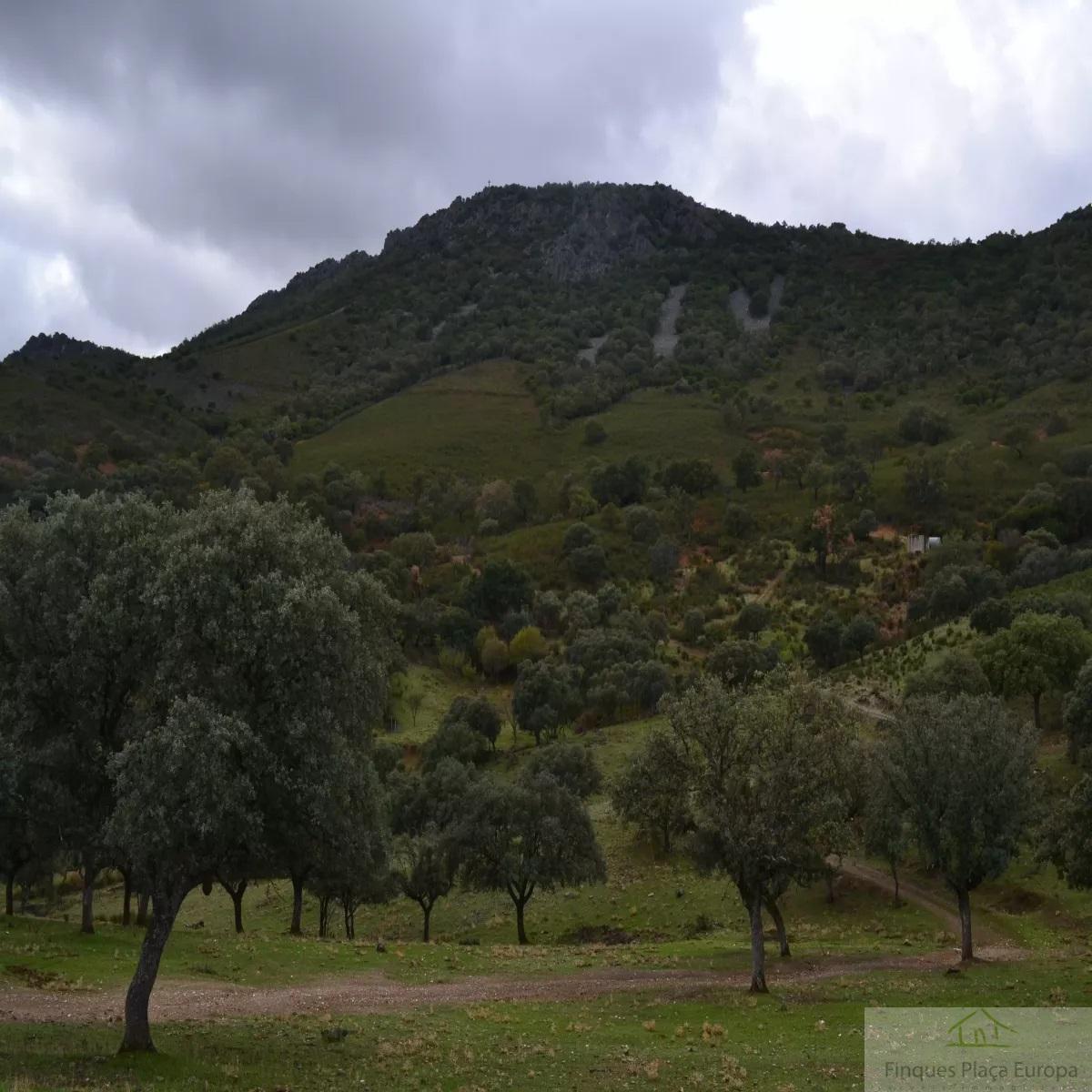 Venda de terreny a Navalmoral de la Mata