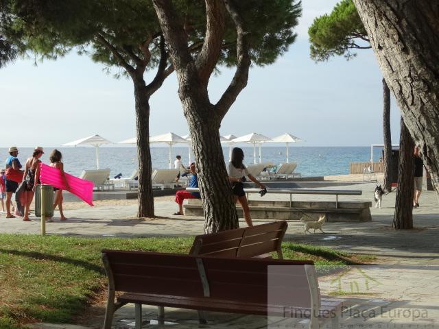 For sale of study in Platja d´Aro