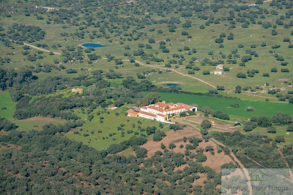 Продажа от

 Земельные участки на Mérida