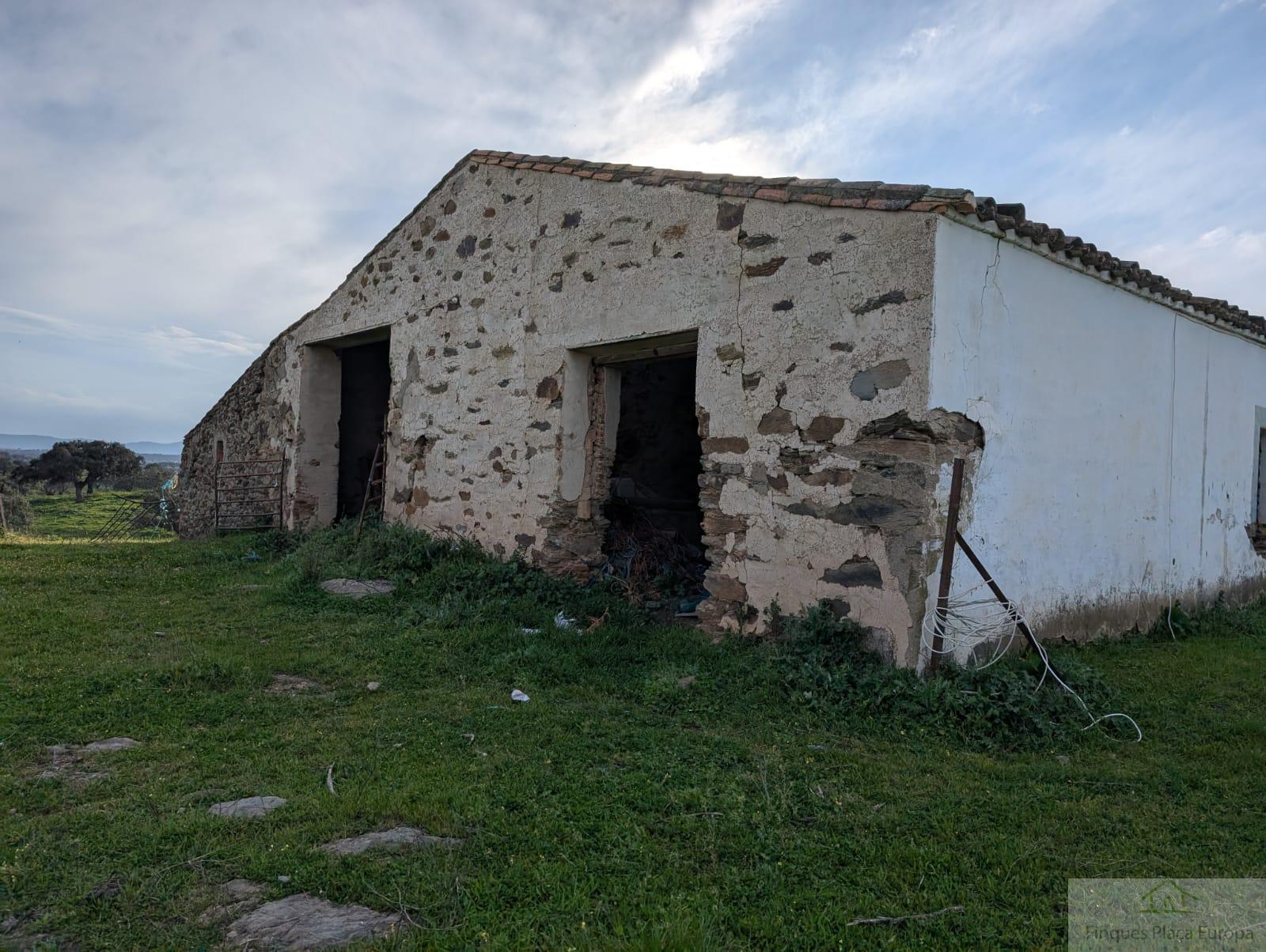 For sale of land in Salorino