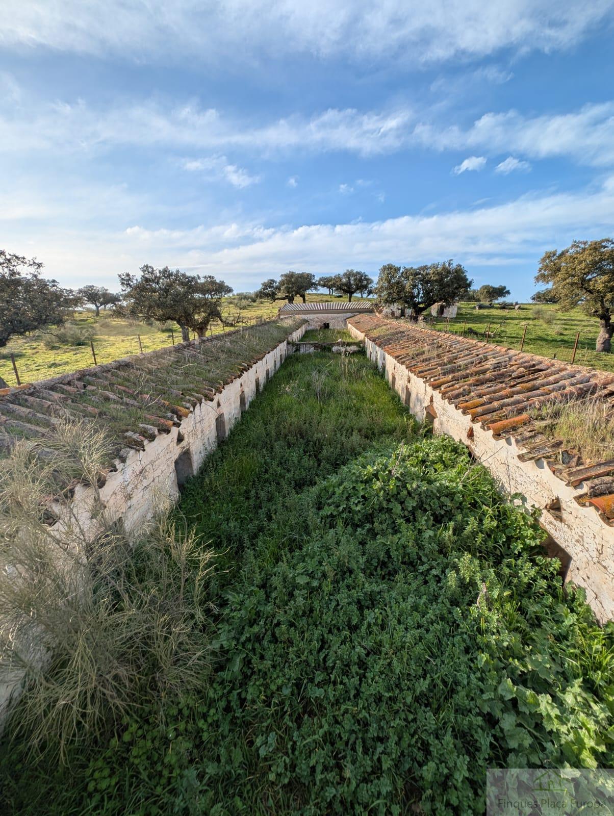 Venta de terreno en Salorino