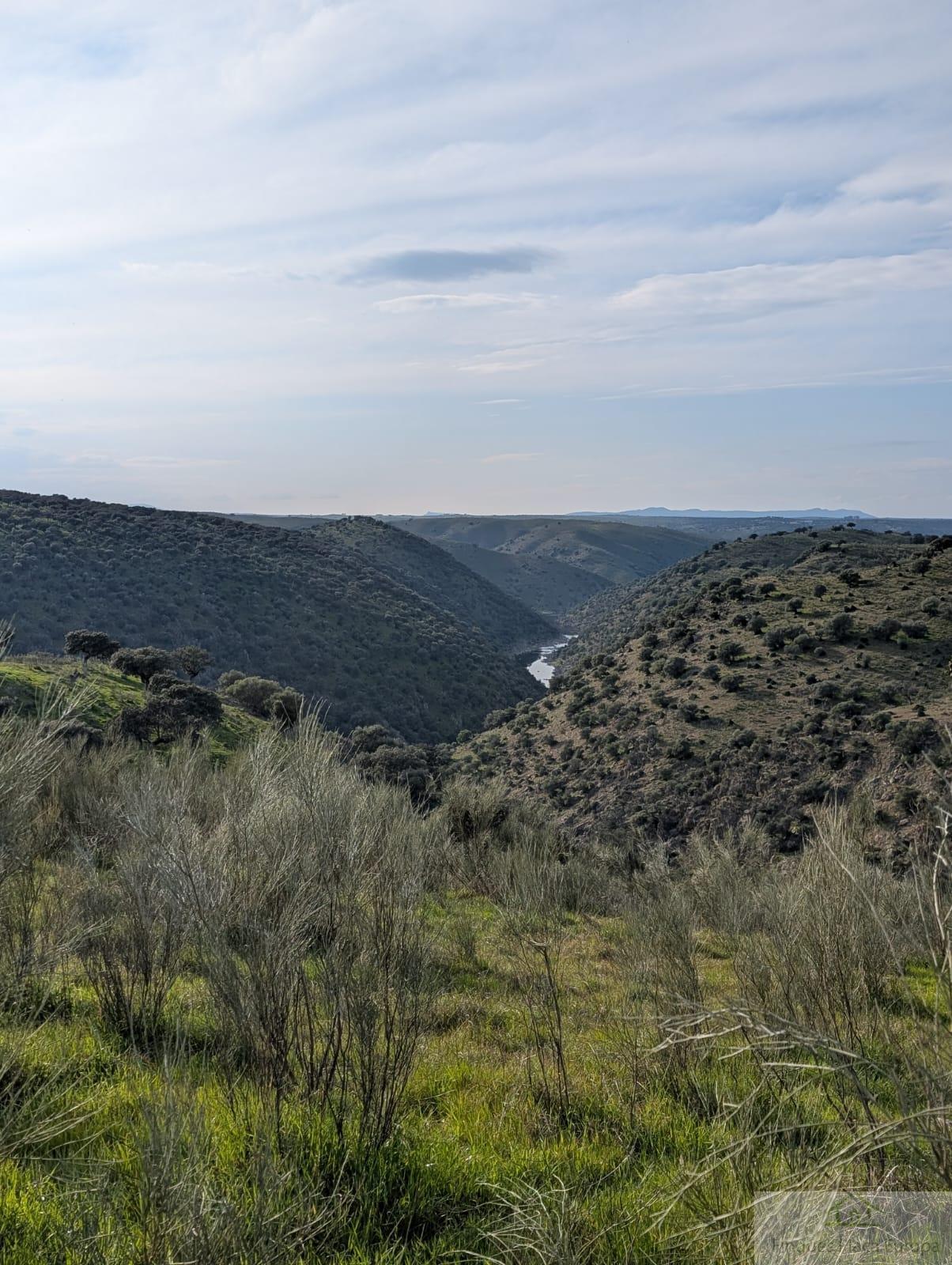 Venta de terreno en Salorino
