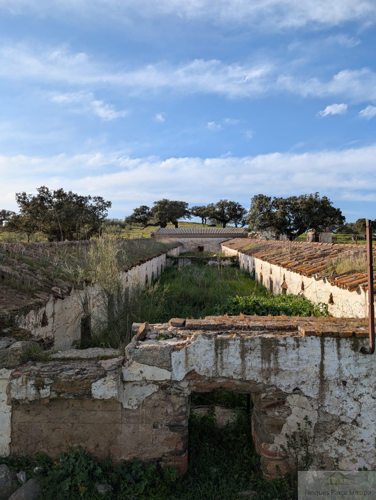 Venta de terreno en Salorino
