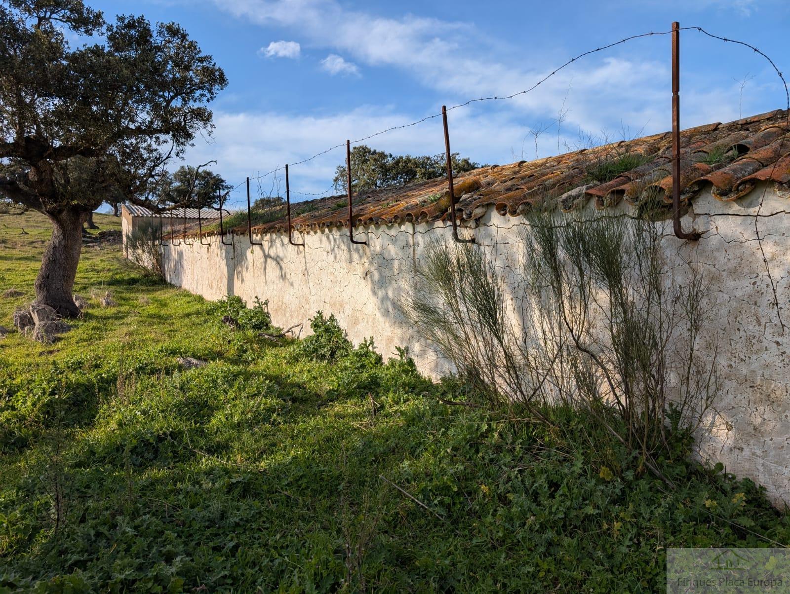 Venta de terreno en Salorino