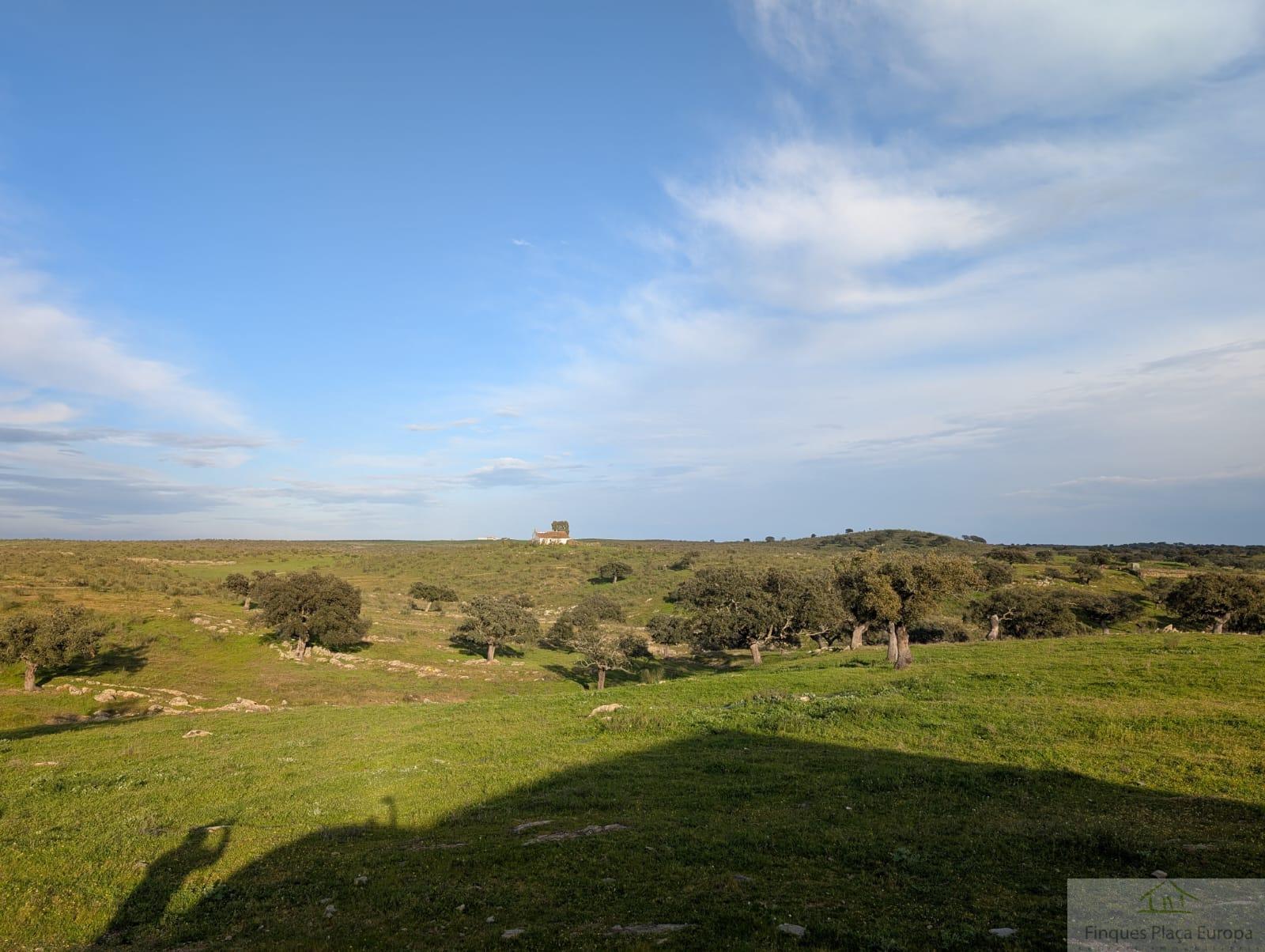 Venta de terreno en Salorino