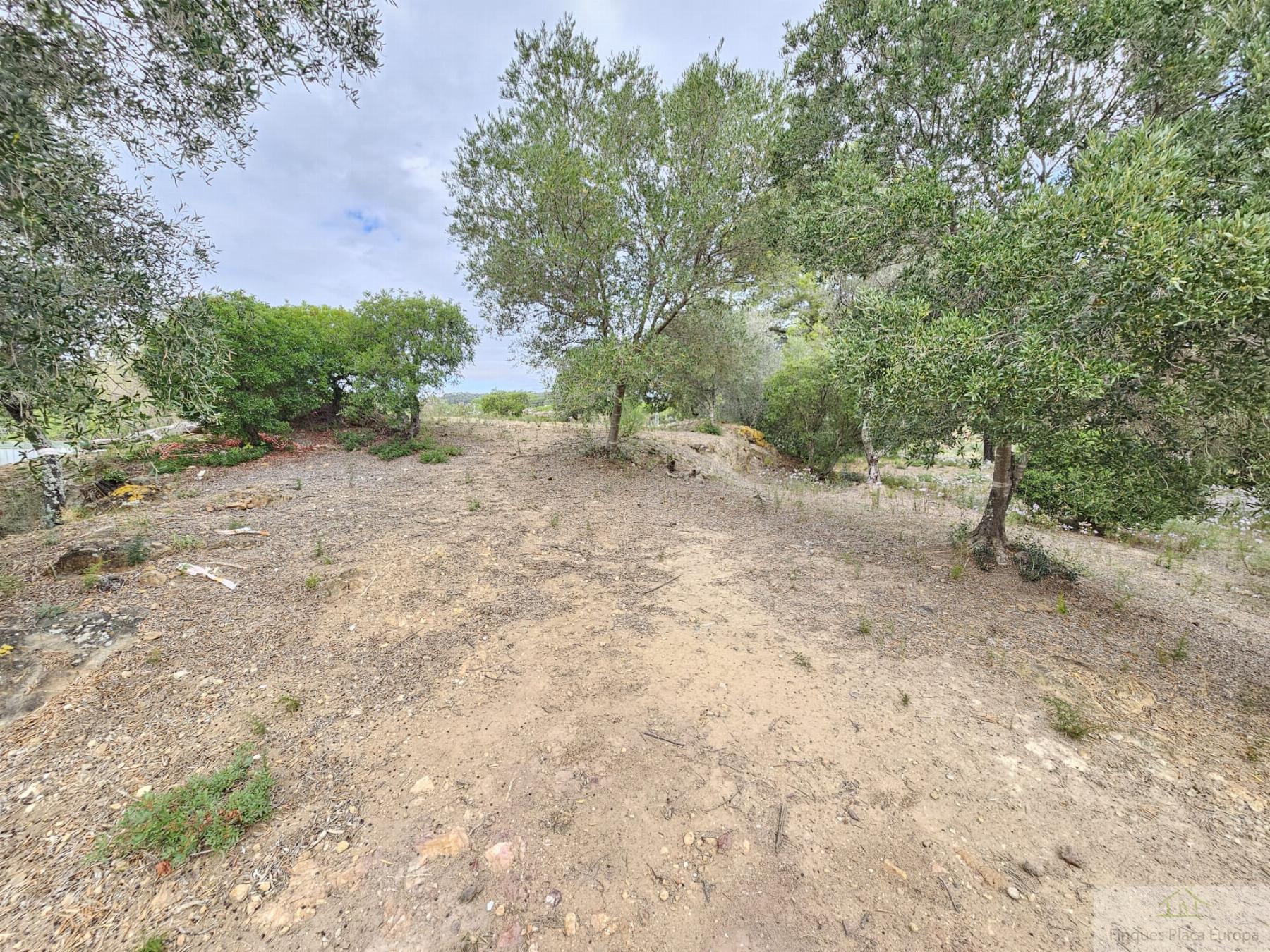 Vente de terrain dans Platja d´Aro