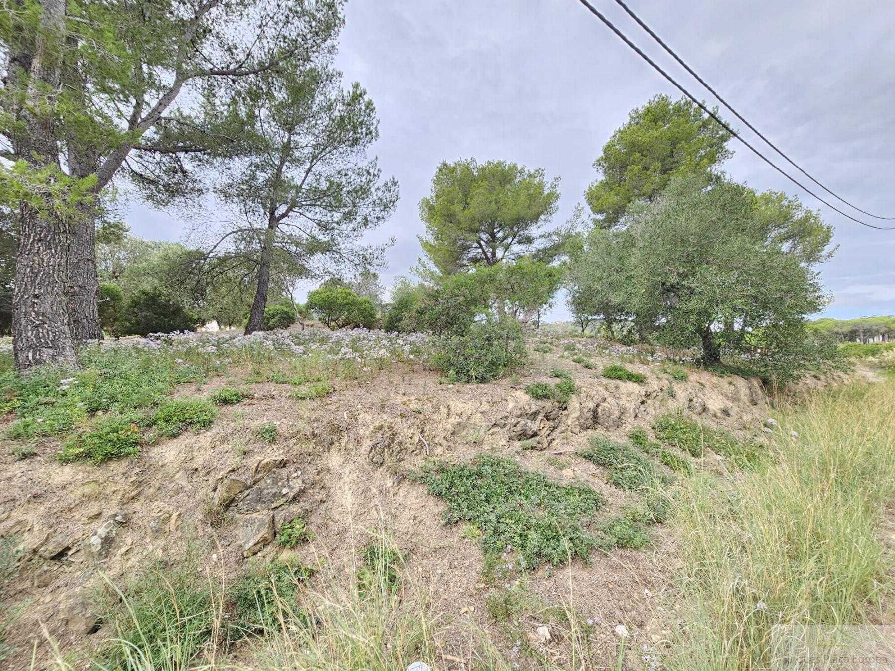 Vente de terrain dans Platja d´Aro