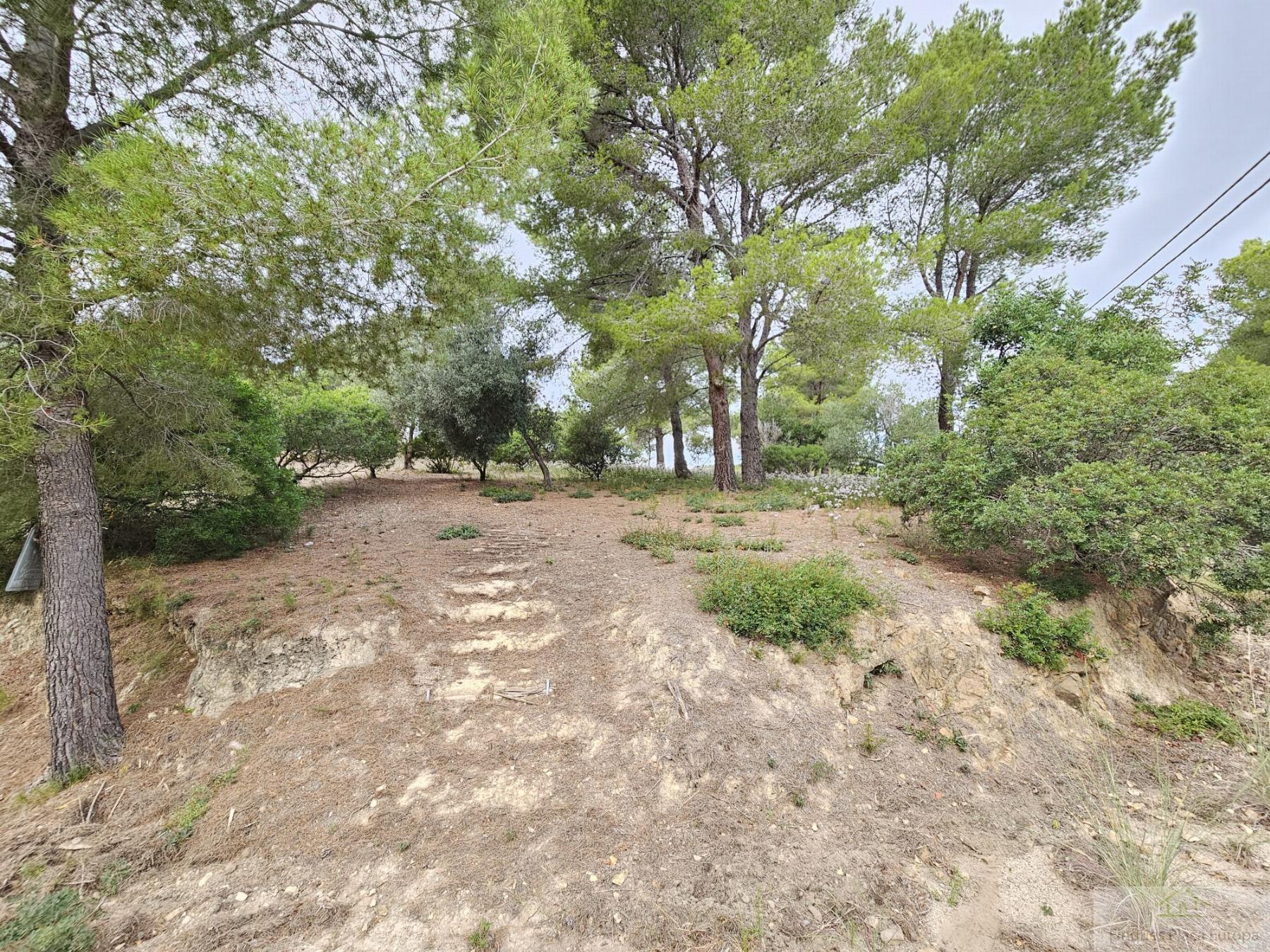 Vente de terrain dans Platja d´Aro