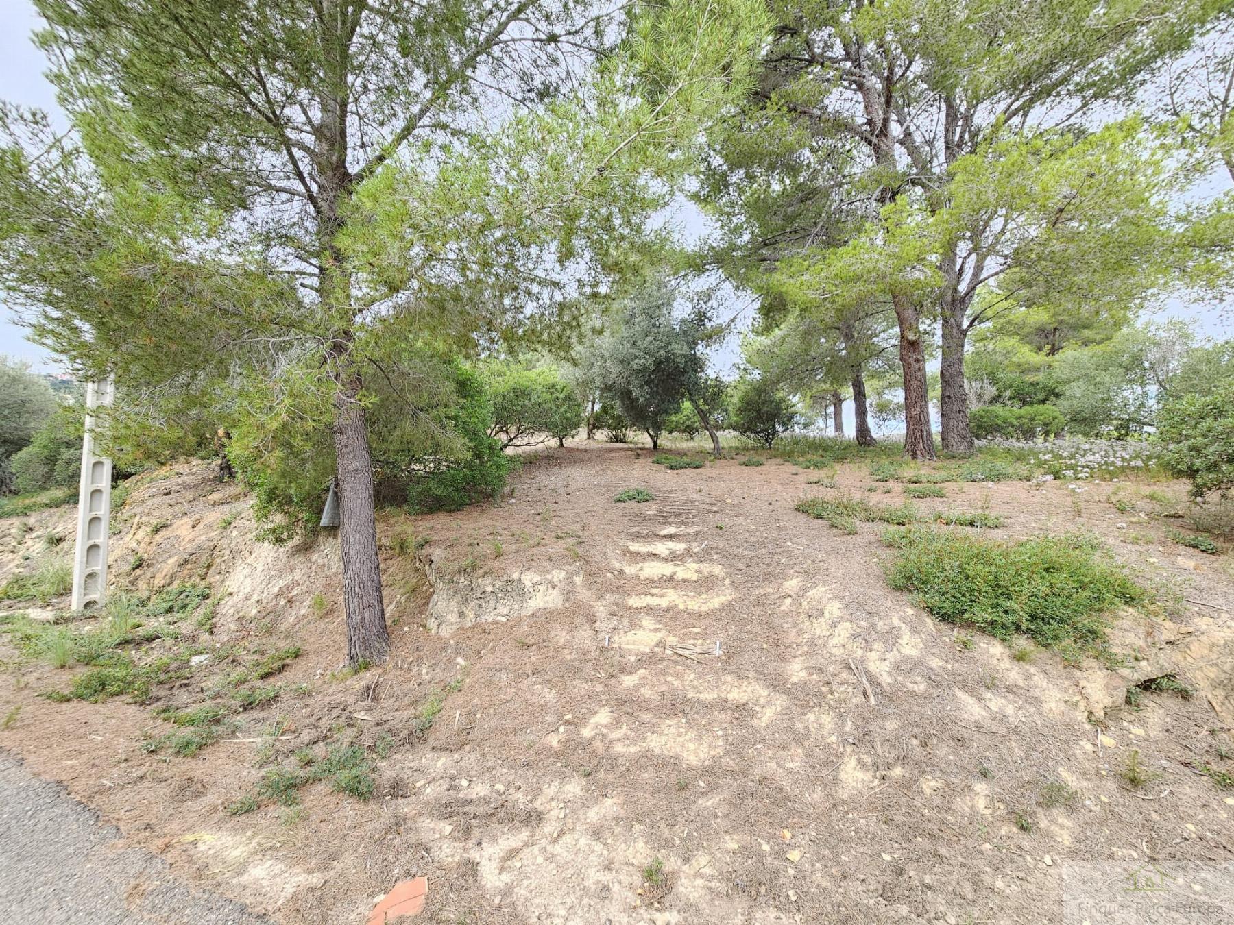 Vente de terrain dans Platja d´Aro