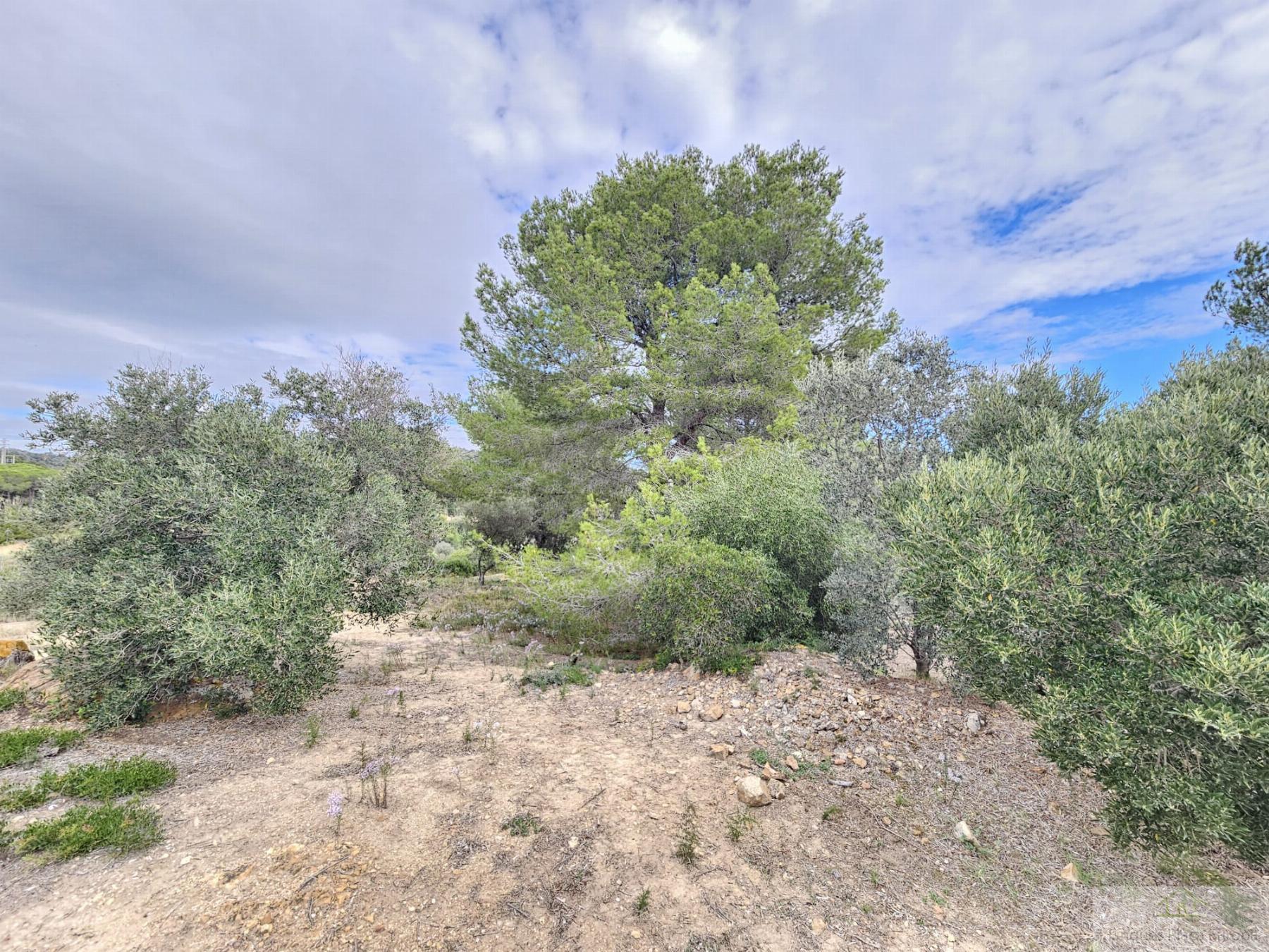Vente de terrain dans Platja d´Aro