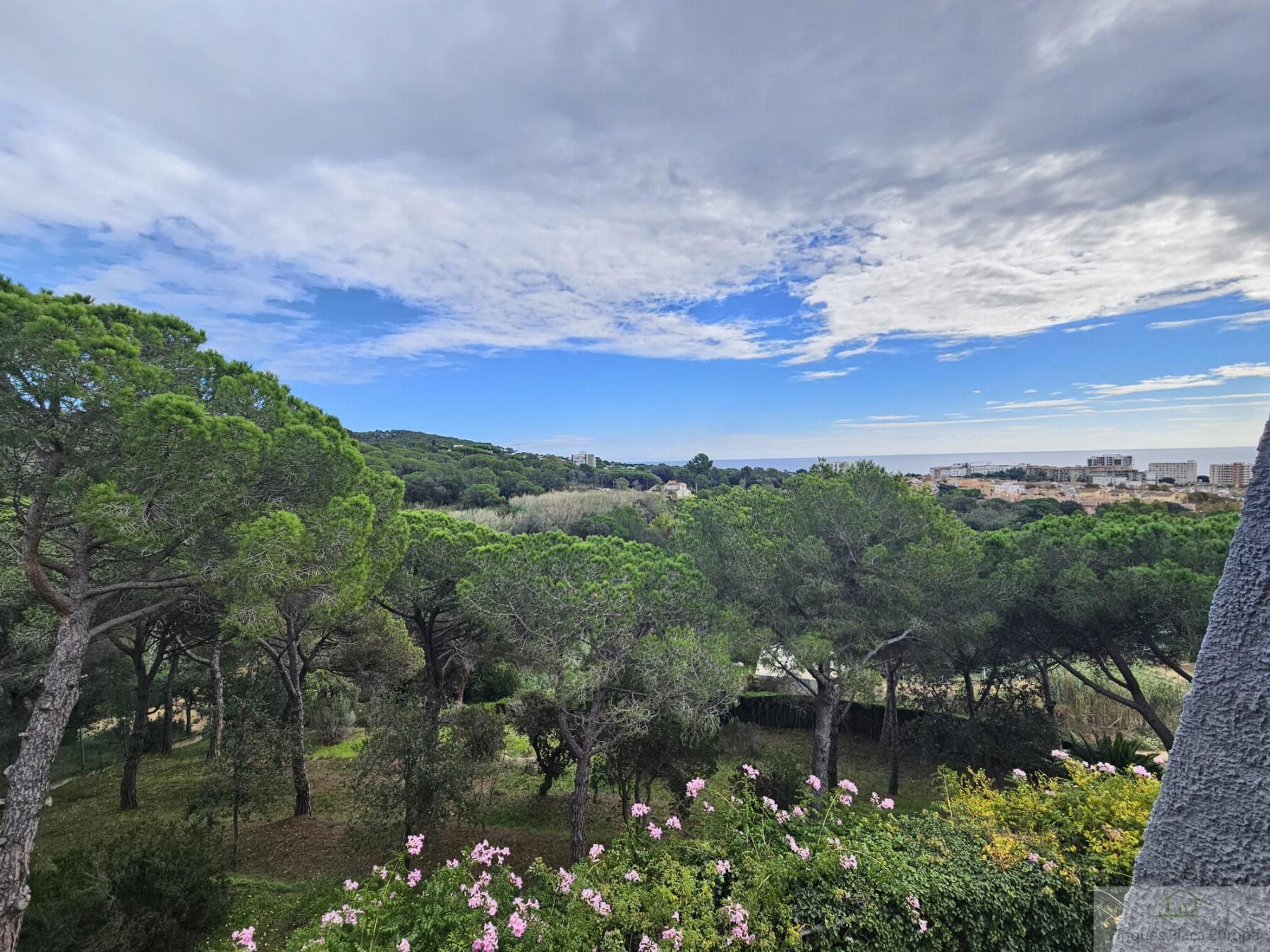 Vente de terrain dans Platja d´Aro