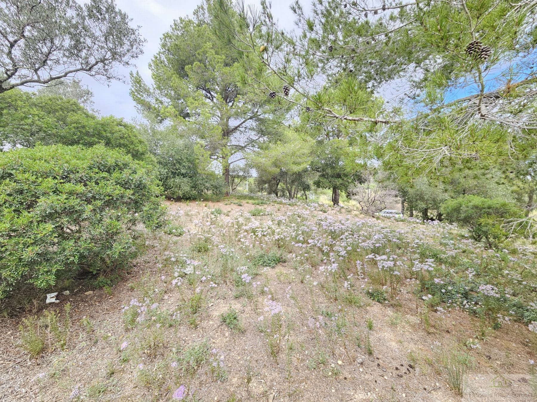 Vente de terrain dans Platja d´Aro