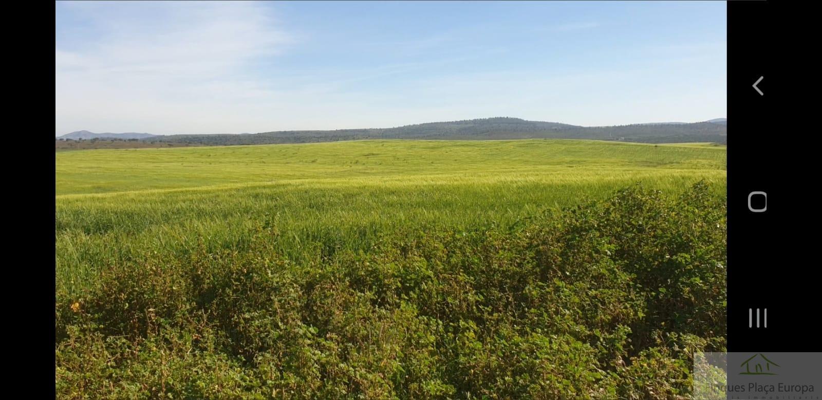 Venda de terreny a Ribera del Fresno