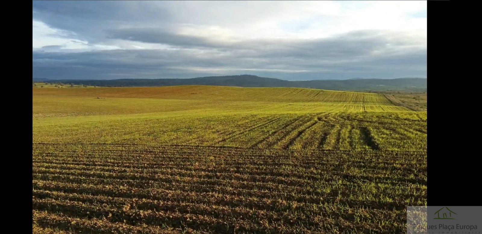 Продажа от

 Земельные участки на Ribera del Fresno