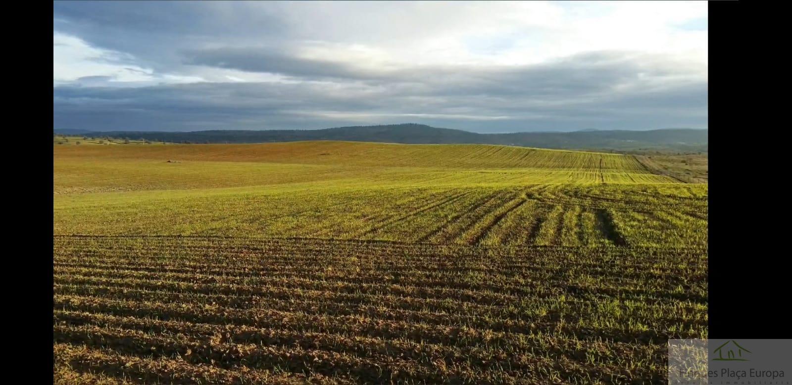 Продажа от

 Земельные участки на Ribera del Fresno