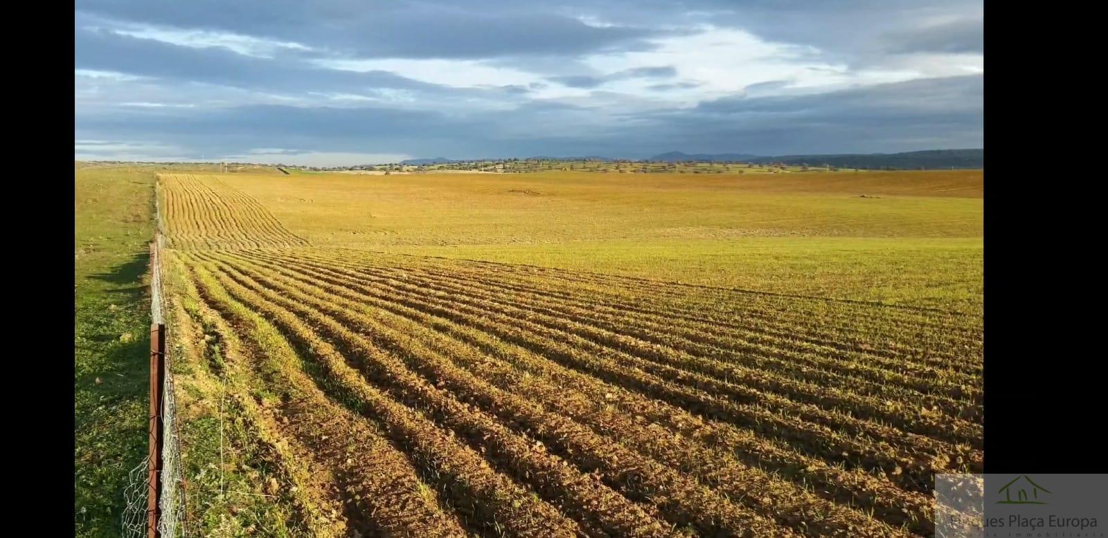 Продажа от

 Земельные участки на Ribera del Fresno