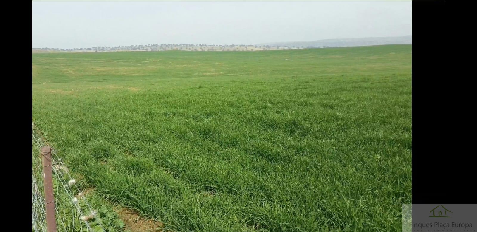 Продажа от

 Земельные участки на Ribera del Fresno